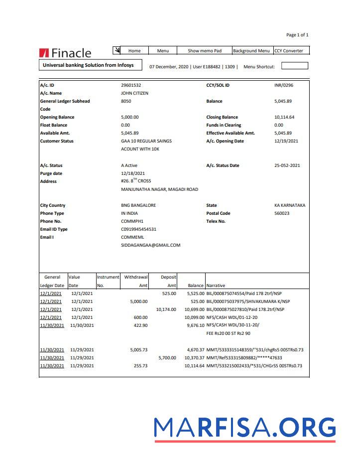 Blank India Finacle bank statement excel real example